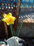 upload_img1
