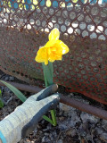 upload_img1
