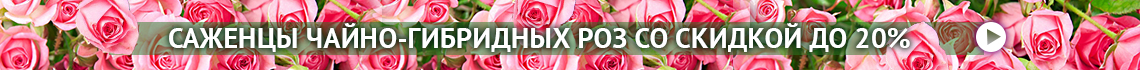 domicad.com.ua Дом и Сад