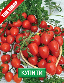 Новые семена и саженцы - редкие селекционные сорта