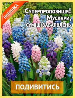 Новые семена и саженцы - редкие селекционные сорта