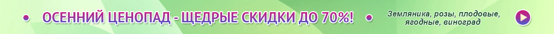 domicad.com.ua Дом и Сад