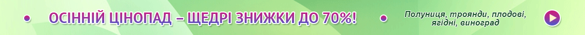 domicad.com.ua Дім і Сад