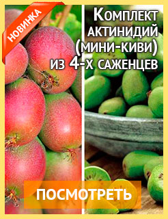 Новые семена и саженцы - редкие селекционные сорта
