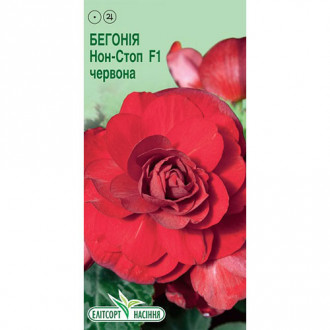 Бегония Нон-стоп красная F1 рисунок 3