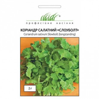 Коріандр Слоуболт Професійне насіння зображення 7