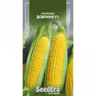 Кукуруза Добрыня F1 Seedera рисунок 8