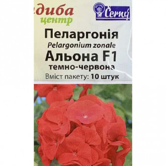 Пеларгония Алена F1 рисунок 8