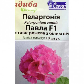Пеларгония Павел F1 рисунок 5