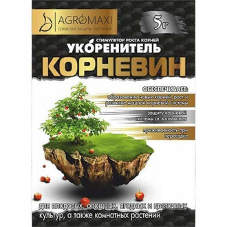 Укоренитель Корневин рисунок 5