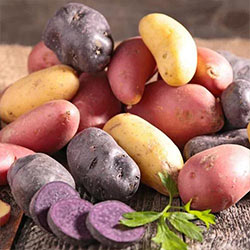 Семенной картофель - often sought goods