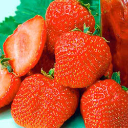 Полуниця, суниця 🍓 - often sought goods