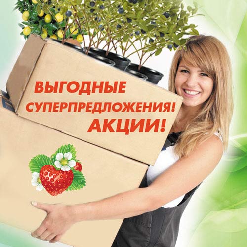 Дом и Сад - Суперпредложение!