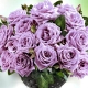 Дом и Сад - Розычайно-гибридные -20%