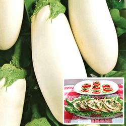http://domicad.com.ua/ - Баклажан Вкус грибов, семена